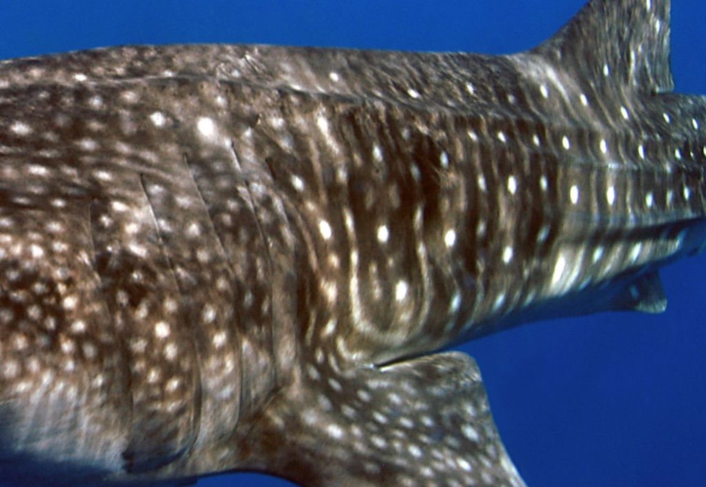 898021bb-a375-4fed-a9ad-6fbd3404cd65