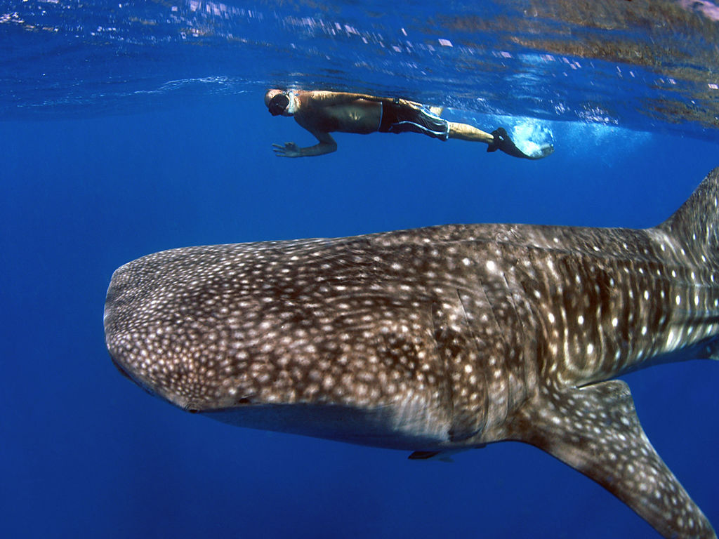 898021bb-a375-4fed-a9ad-6fbd3404cd65