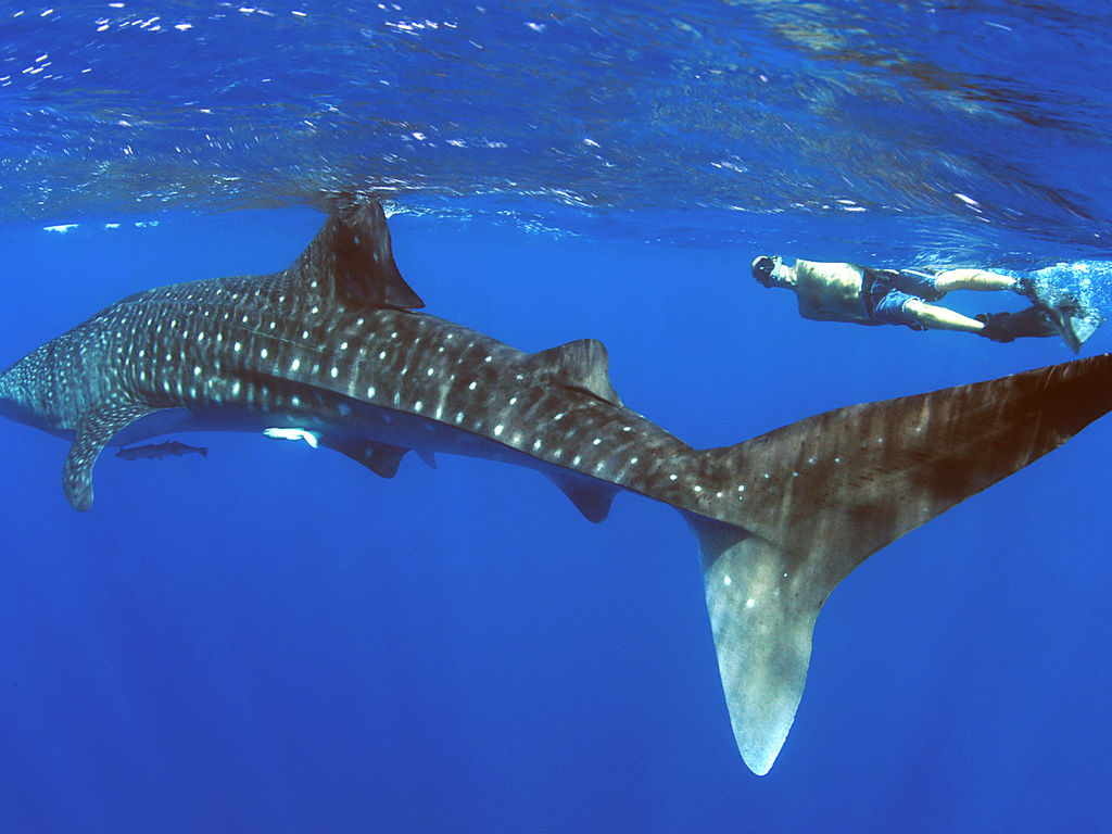 898021bb-a375-4fed-a9ad-6fbd3404cd65