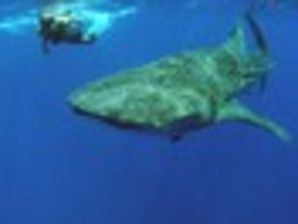 898021bb-a375-4fed-a9ad-6fbd3404cd65