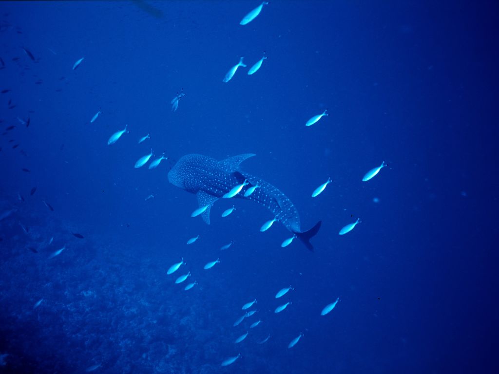 27b7a398-bc70-4d61-b3ee-f61c9f0fd67d