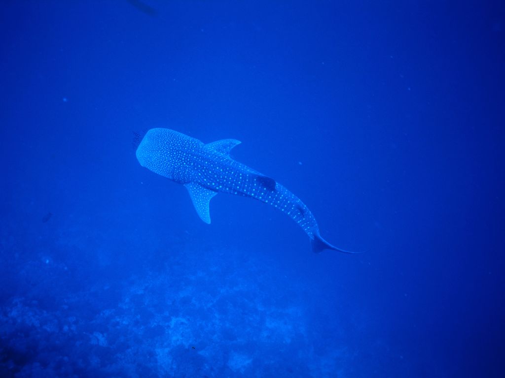 27b7a398-bc70-4d61-b3ee-f61c9f0fd67d