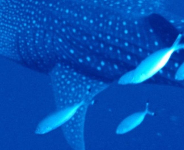 27b7a398-bc70-4d61-b3ee-f61c9f0fd67d