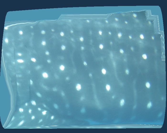 1bde5099-8a49-44f0-b215-421bcf30fbe3