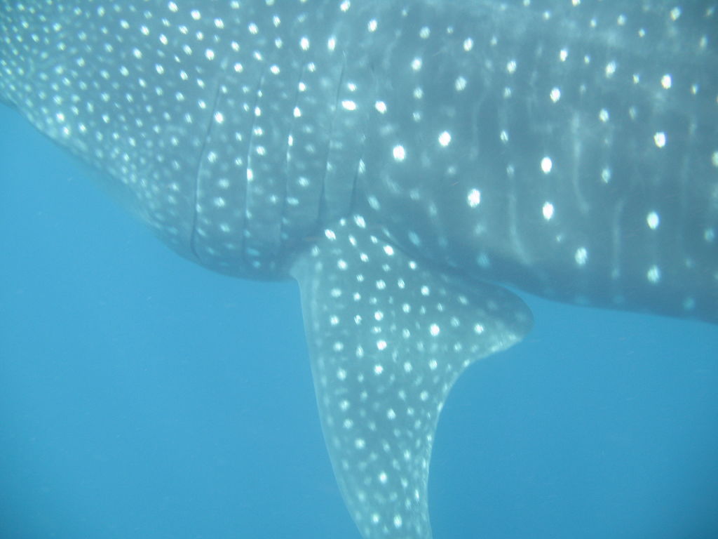 1bde5099-8a49-44f0-b215-421bcf30fbe3