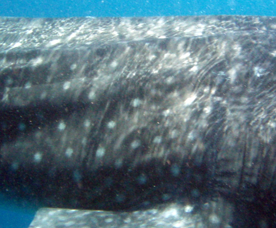 6adda6b3-4421-4af0-98bb-136802047508