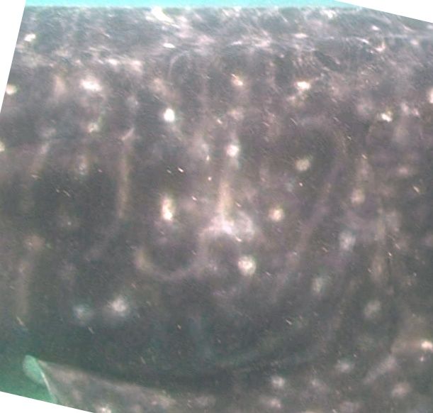 15e44ec1-727e-4ff7-a435-1f91a86d2e20