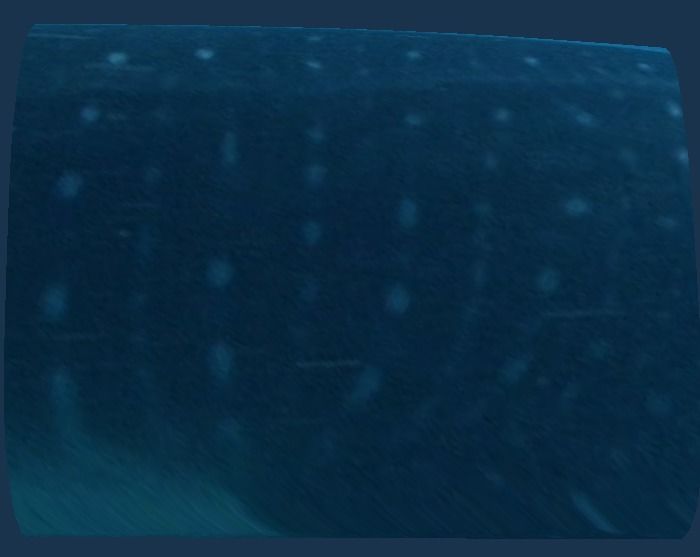 5dc43d39-9819-4c55-a254-fbc6705ae090