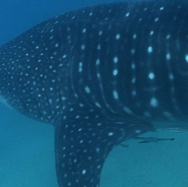 5dc43d39-9819-4c55-a254-fbc6705ae090