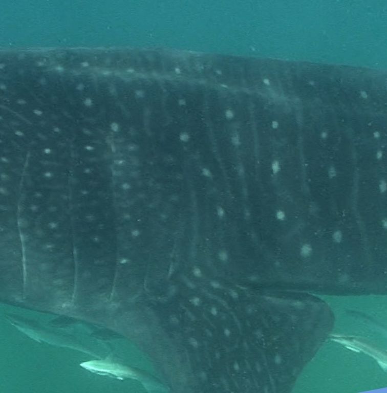 839ffcb1-041e-454c-b576-302c5ed1658d