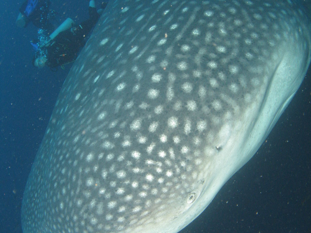 f74cbc99-638d-46ef-81d1-d17929c1efdb