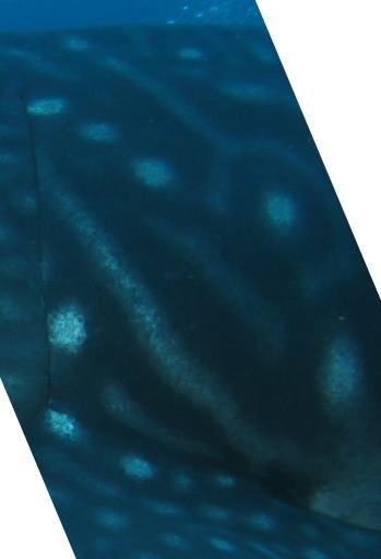 f74cbc99-638d-46ef-81d1-d17929c1efdb