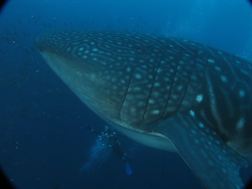 f74cbc99-638d-46ef-81d1-d17929c1efdb