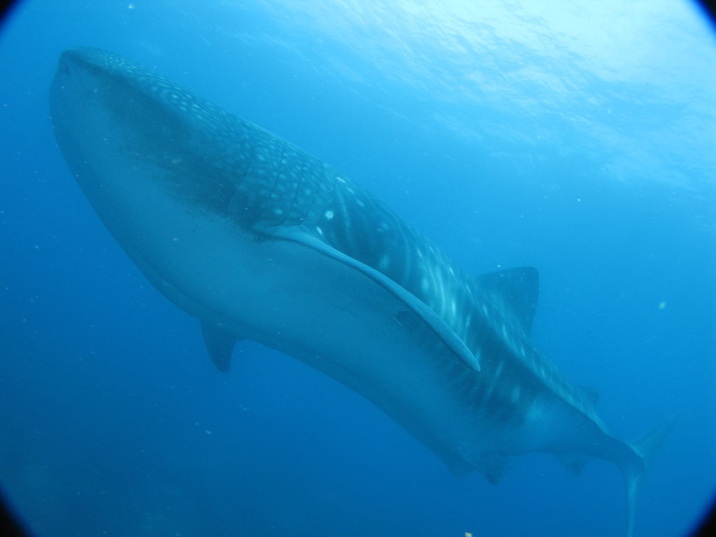 f74cbc99-638d-46ef-81d1-d17929c1efdb