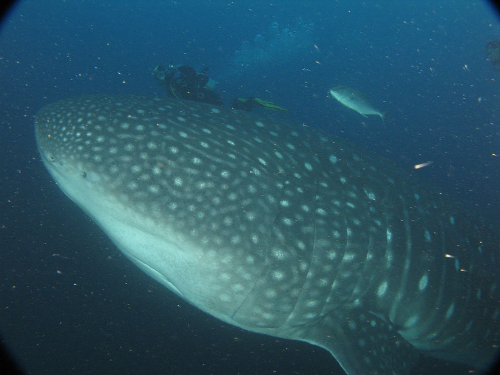 f74cbc99-638d-46ef-81d1-d17929c1efdb