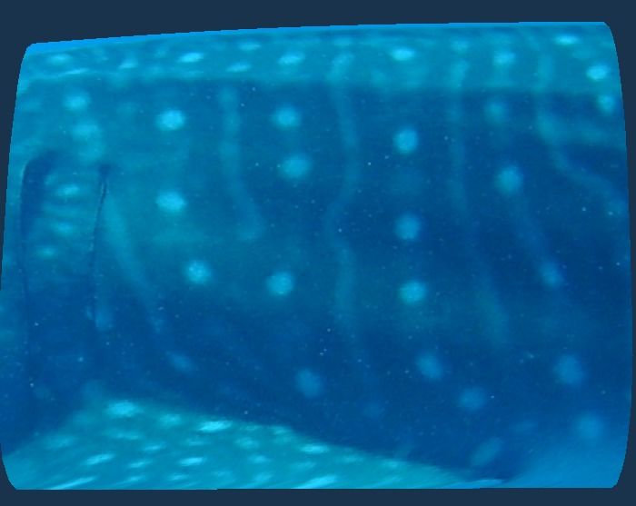 90ec9d5c-38b3-436b-ac52-00cd090092aa