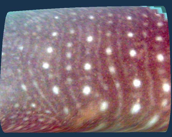 574f7098-e2ad-44f1-928b-2d12f8fd6ea1