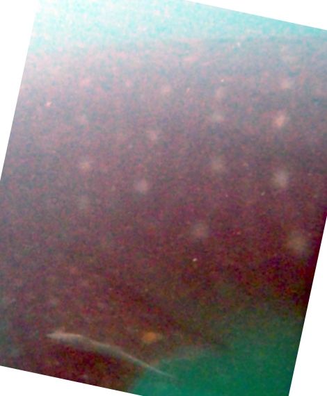 0ee5a255-8348-4dac-b270-79f2b487e511