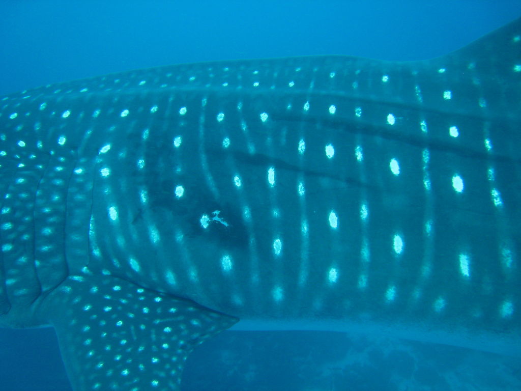 21b82013-4a07-407e-b210-521e63955d18