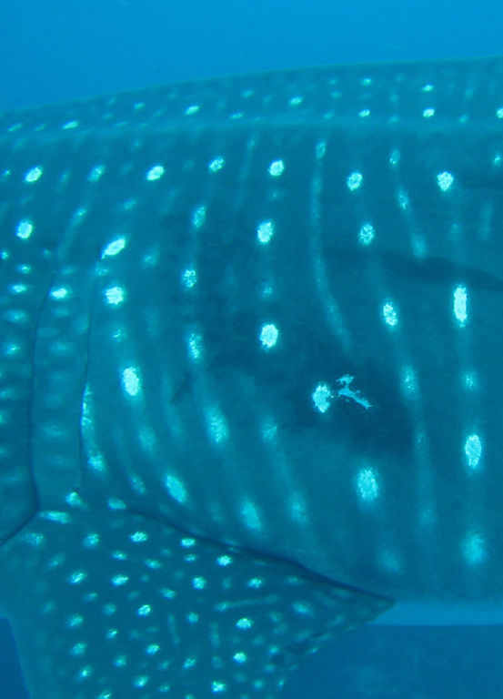 21b82013-4a07-407e-b210-521e63955d18