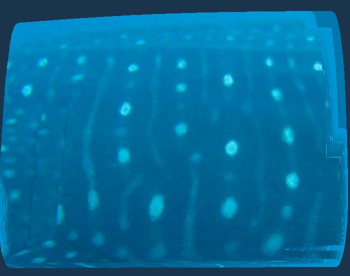 20b0f1fc-ede6-41ad-9457-b7c31fc8e264