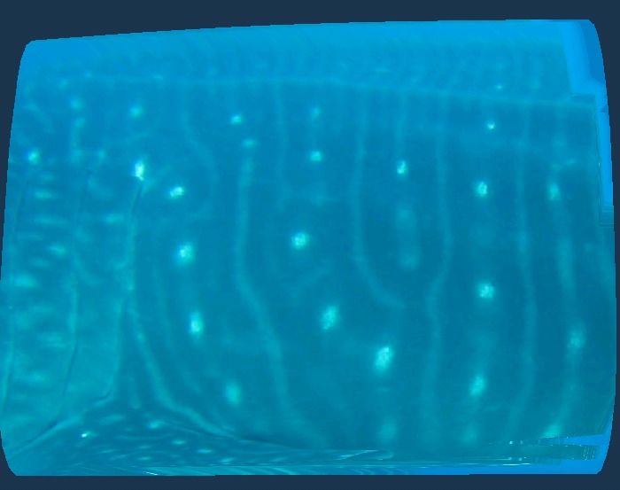 724b4357-0a9c-40de-96af-e29a2e5021c6