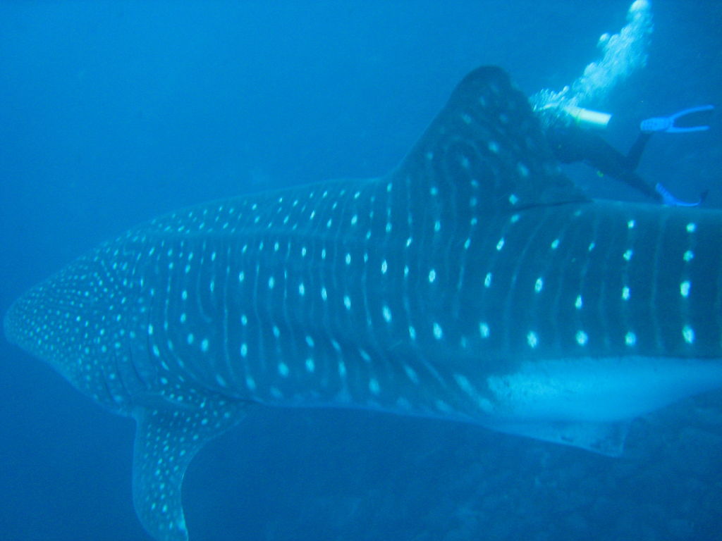 7278e348-5e3c-4018-8b1c-85e6cb2c3820