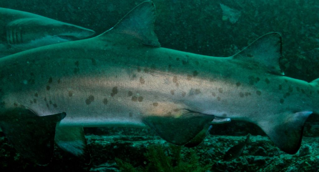 6abf613a-4f84-4d69-a169-6883235f38d4