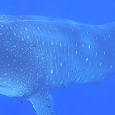 9e9d3202-3ddf-407d-83cb-e56e384daa1f