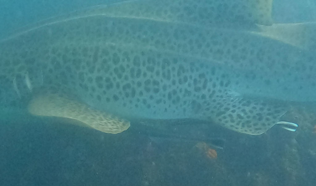 ecb95f7a-bff3-4fee-93f7-96b728648e2e