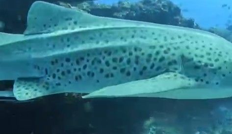 0762deaf-2e2f-4ecd-9331-84aa85908fe8