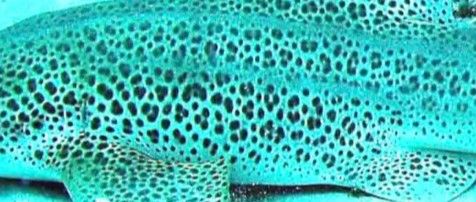 65120cdc-211a-4765-9f4c-e562a0d0b6e3