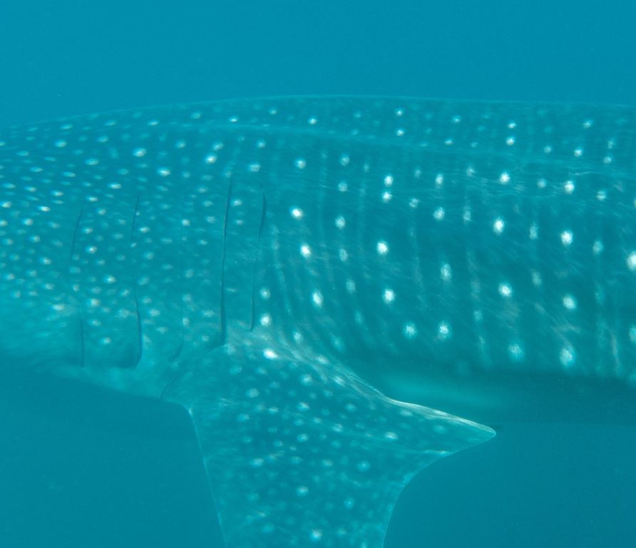 d74d8fbf-1b17-40c6-a5c2-193067413eec