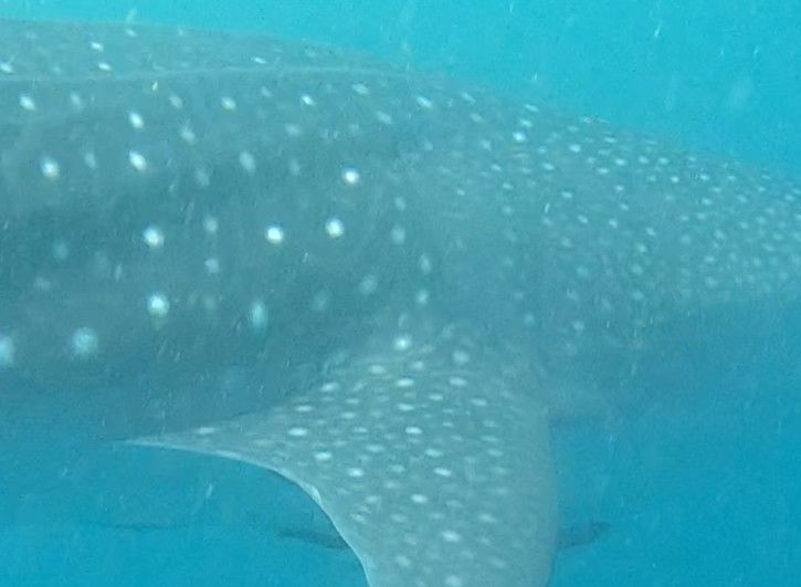 d74d8fbf-1b17-40c6-a5c2-193067413eec