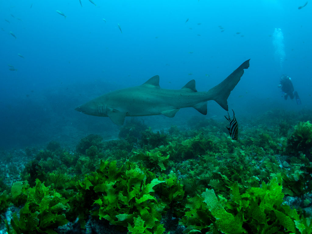 9664d833-0173-4aa2-bcff-7cf73da778b5