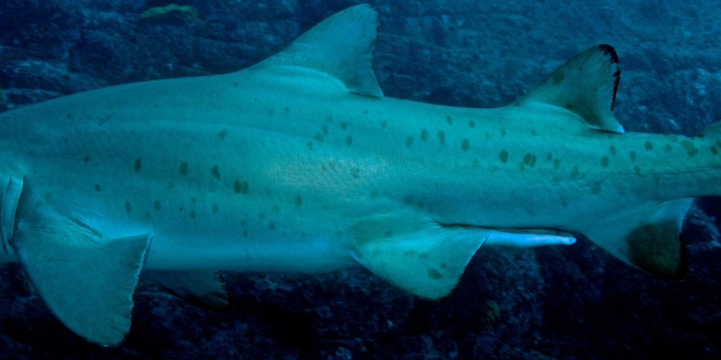 c54f4f67-9def-405d-8b13-79eaf7d590f7