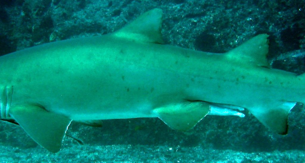 4f17e218-c31f-4191-873f-d38159970958