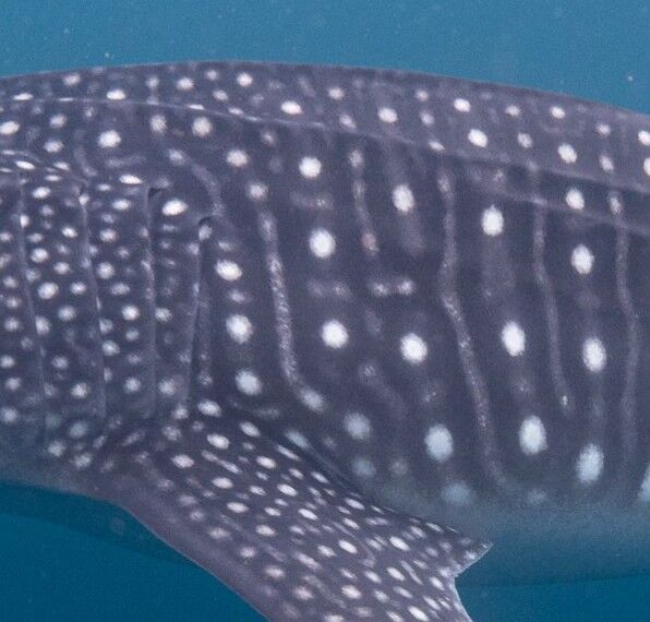 5a70d015-a2ac-4576-b348-fe1d0077b53a