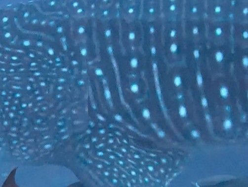 27147bab-a5be-4732-b3b7-94fdda5a3ead