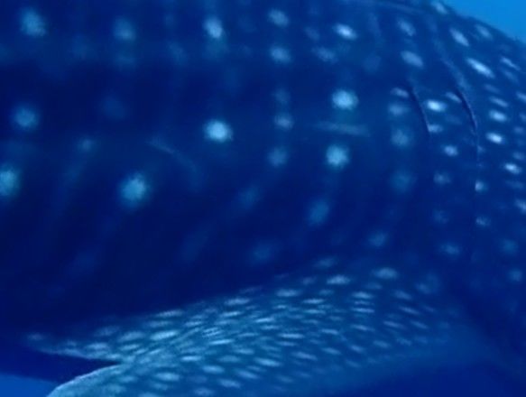 d7624bfa-b8f8-4879-ac92-4743b82d7f0a