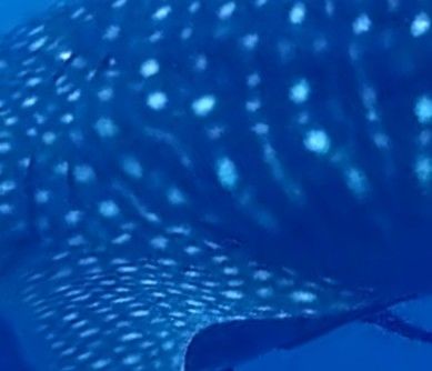 d7624bfa-b8f8-4879-ac92-4743b82d7f0a