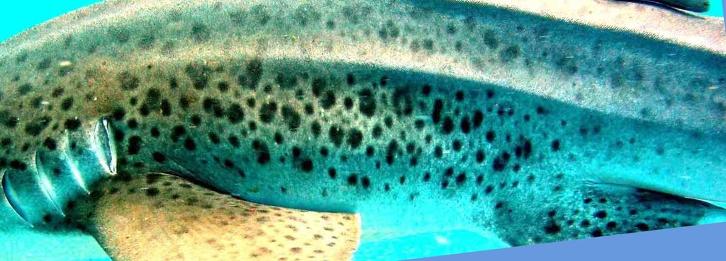 56c4fe06-631a-4d29-b028-fb08b71e5b02