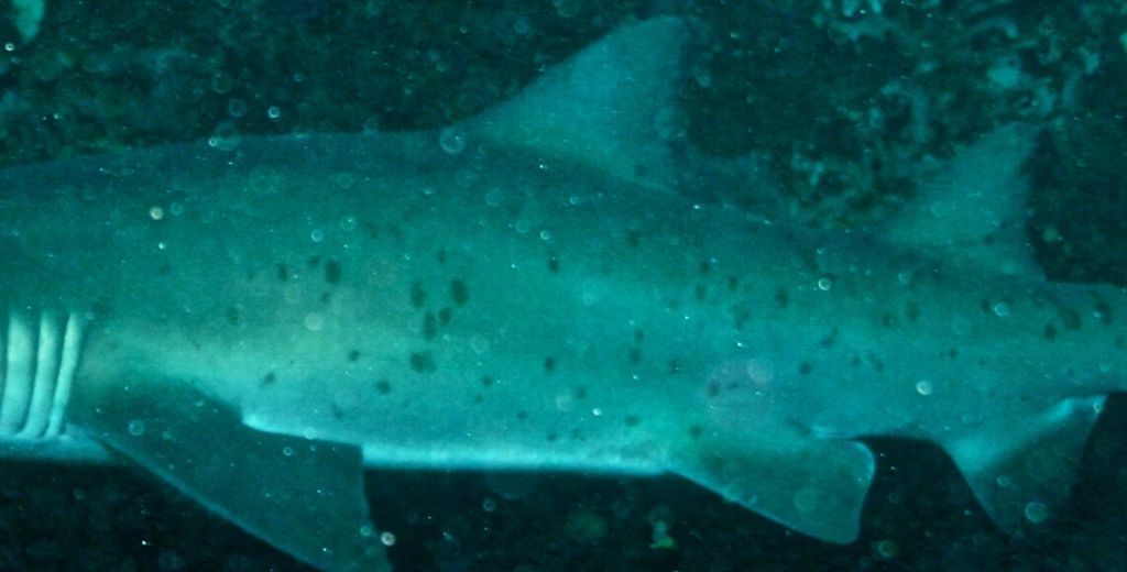 f5cbfc91-3903-457e-b421-c4a3c3d859b7