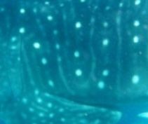 8986ba72-f31c-4a5a-9569-96a847a6168d