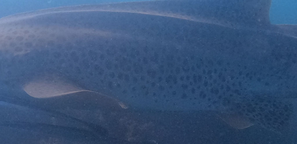 40f7bcb9-0337-4219-a7db-541434ac1625