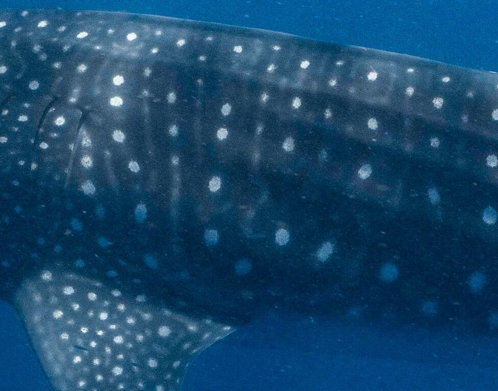 1869e33e-c75e-428e-8aae-09c2f3e72494