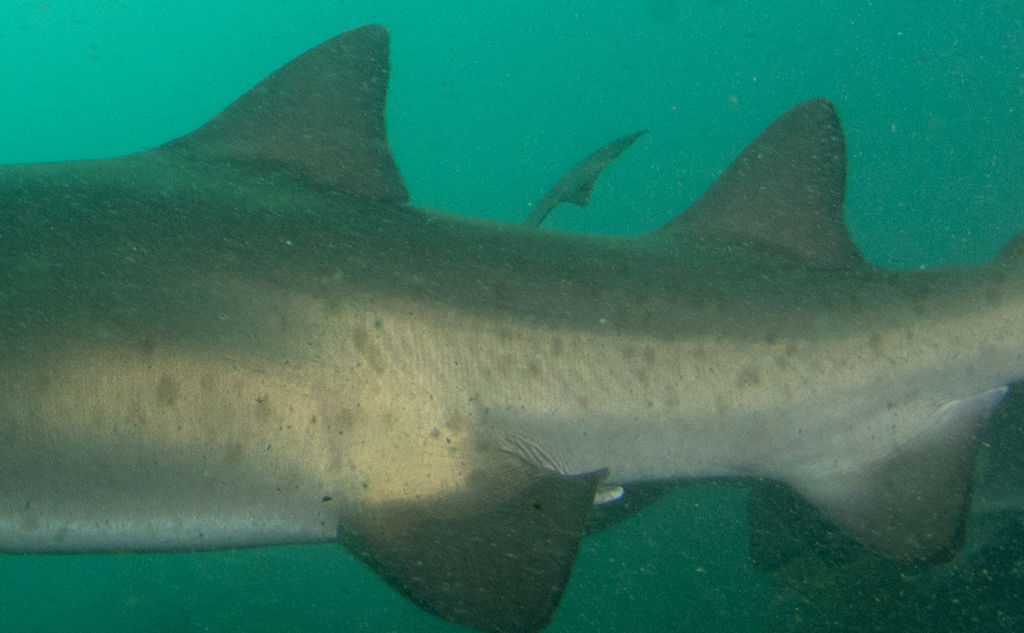 6c53ab6b-9199-4975-b4ee-8c375c2adc9e