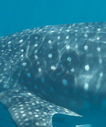 952c2706-e934-4aba-ba23-f5694515c02a