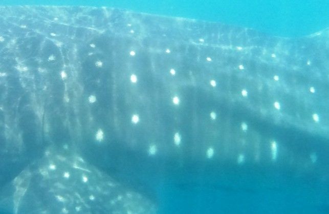 75a4bdf3-40c7-43b8-9aea-97c133556b8d