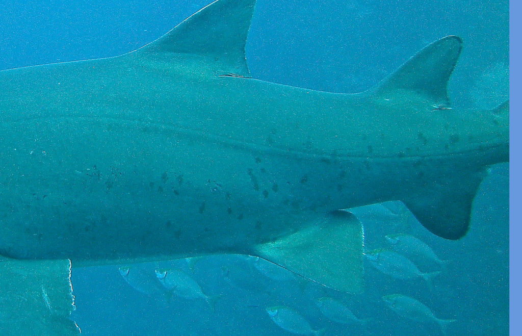 f45d97c5-f97d-474c-8a16-a484d9bc3187